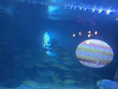 -烟台海昌鲸鲨海洋公园