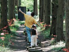 游乐设施-黄海国家森林公园