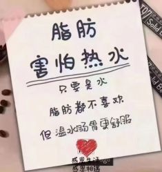 -香薇妮丝·定制减肥·身材管理