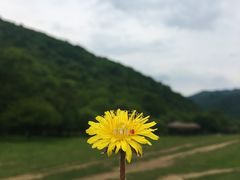 -大水川景区