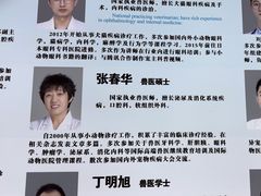 -北京观赏动物医院·24小时大型综合·猫专科·异宠专科