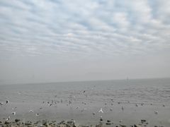 -深圳湾公园(南山区)