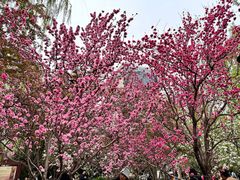 -元大都城垣遗址公园