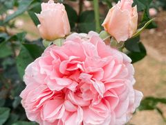 -人民公园(罗湖区)