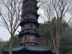 -上海佘山国家森林公园西佘山园