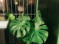 -Lazy Time Massage南亚按摩小馆(大悦城店)
