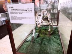 -游龙石文化科普馆