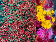 -循礼门鲜花花市(武汉循礼门店)