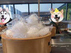 -龍歌自助小火锅(市南金茂湾店)