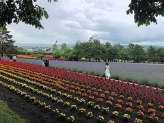 -富田农场