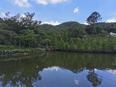 -广州市帽峰山景区