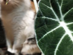 -天一朴素(武汉大学店)