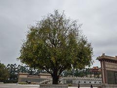 -广东圆玄道观