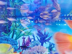 -华声天桥民俗文化园