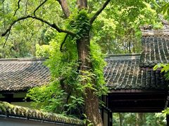 -成都杜甫草堂博物馆