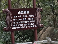 -七仙岭君澜度假酒店