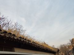 -铃木食堂(帽儿胡同店)