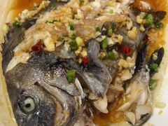 -食海部落