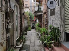 -小洲村