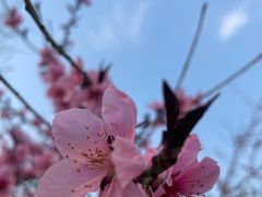 -三里河公园