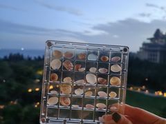 -海南清水湾莱佛士酒店