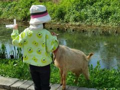 -前小桔亲子创意农场·草莓采摘·露营烧烤