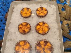-连鹭海鲜·海肠捞饭·海胆饭(星海店)