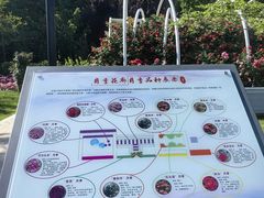 -大望京公园