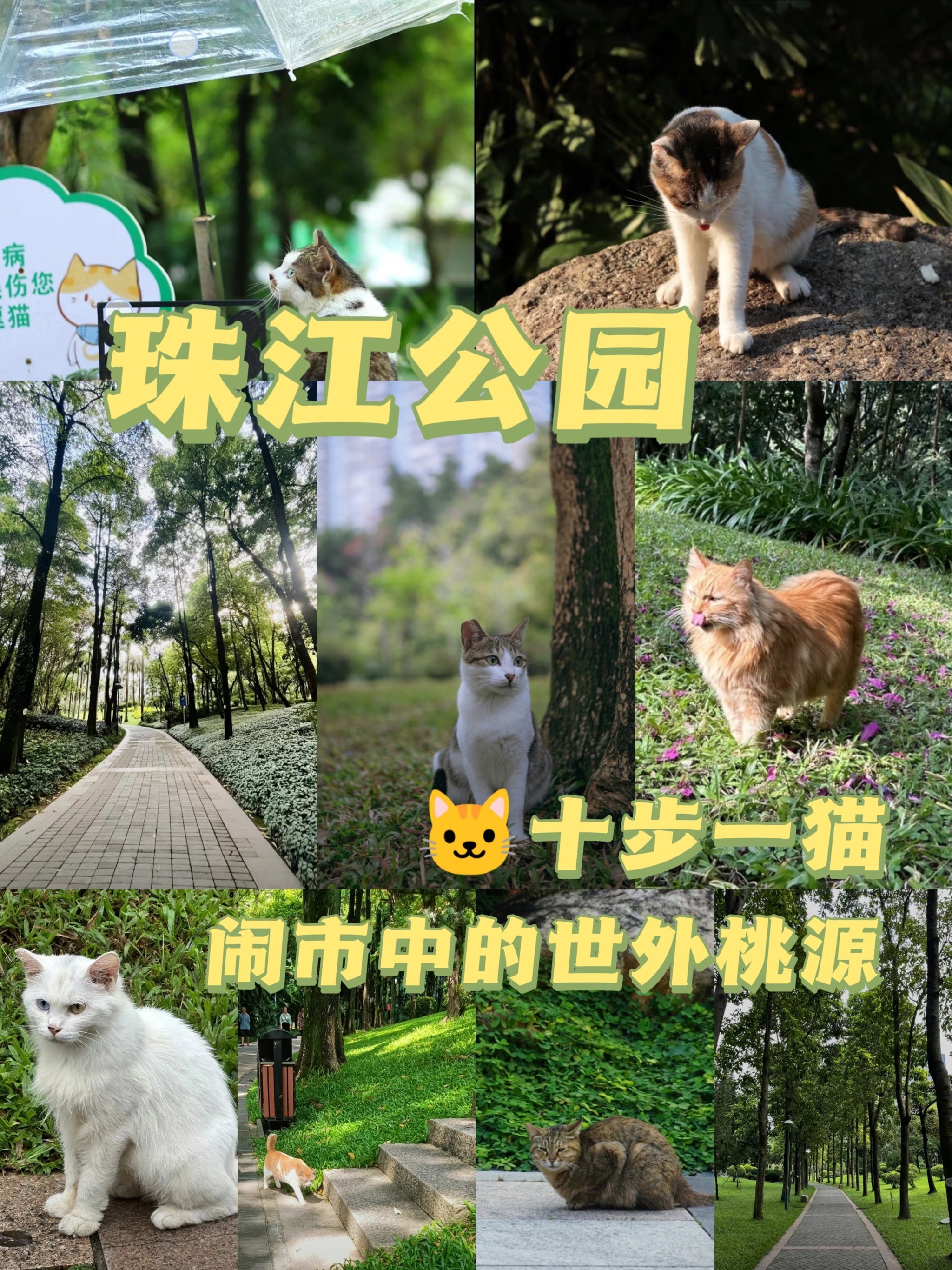 https://qcloud.dpfile.com/pc/tpdaYaDMwsyTba5ikXiIWY_Xnc0eo3UxD4eAL-4Ah3WFw7x7sLah8948sO-N29kLY0q73sB2DyQcgmKUxZFQtw.jpg