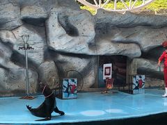 -泉州海丝野生动物世界