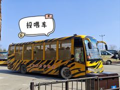 -上海野生动物园