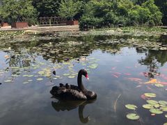 -白马涧龙池景区