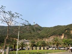 -梧桐山风景名胜区