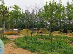 -前小桔亲子创意农场·草莓采摘·露营烧烤