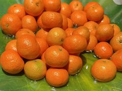 -芝小官毛肚火锅海鲜自助(苏州吴江区万宝店)