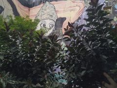 -大芬美术馆