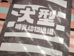 -西树泡芙(湖滨银泰in77B区店)