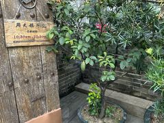 -周大娘牛乳(旧寨古村总店)