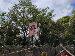 -上海野生动物园老虎餐厅
