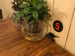 -七七家的糖水店(南湾街1号店)