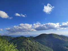 -武陵山森林公园