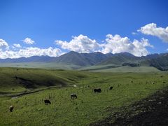 -新疆那拉提国家旅游度假区