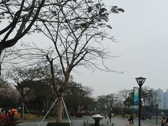 -顺峰山公园