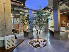 -喜马拉雅森(运河汇1958店)