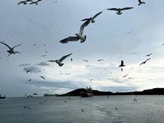 -海驴岛(荣成市)