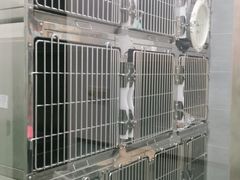 -宠福鑫康馨动物医院·骨科·眼科