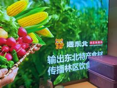 -遇东北林区铁锅炖(南开店)