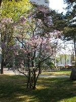 -北京邮电大学