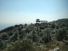 android_upload_pic-玉苍山国家森林公园