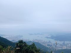 -梧桐山风景名胜区